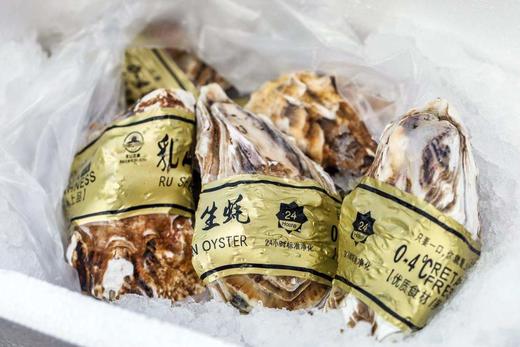 周二取货：【匠心级乳山生蚝(中大蚝）】一箱净重约2.5斤左右（约8-10只）24小时标准净化，又肥又鲜 商品图10