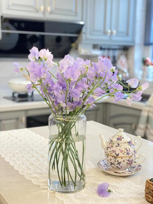 【周四秒杀】紫色豌豆花79.8元 商品图1