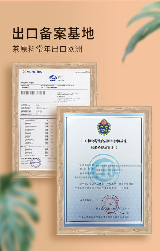 珍品寿眉 京东同款 出口备案基地 2020年 商品图8