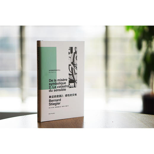 象征的贫困2：感性的灾难//当代激进思想家译丛 商品图2