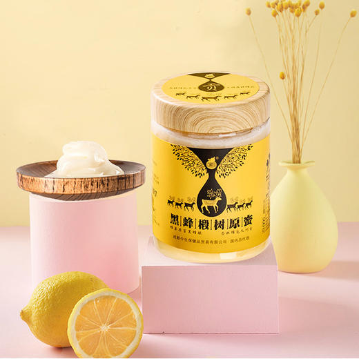 贡蜜  黑蜂椴树原蜜蜂蜜   500g/罐   纯净 原生态  小兴安岭蜜源 商品图3