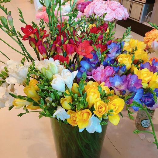 香雪兰随机色 商品图2