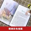 瓦尔登湖 英文 海豚 商品缩略图0