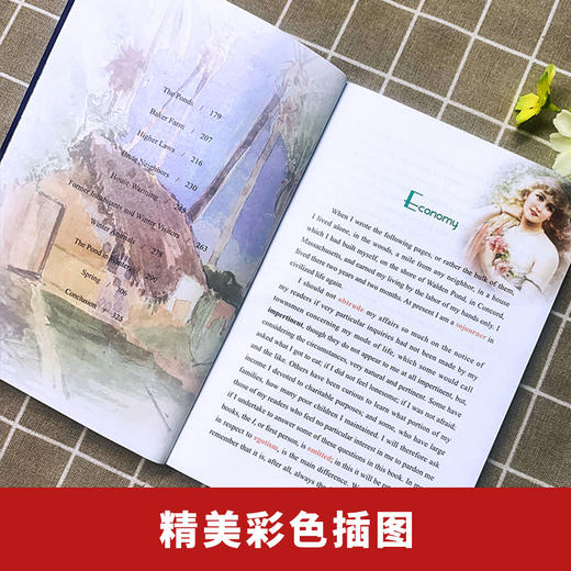 瓦尔登湖 英文 海豚 商品图0