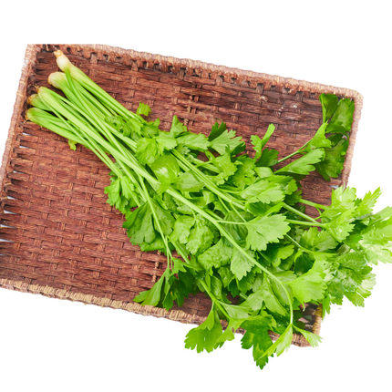 绿源禾心有机芹菜 商品图0