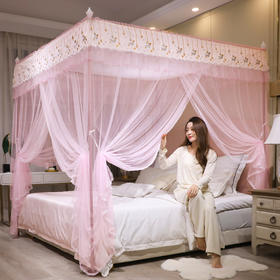 自然醒宫廷落地蚊帐家用1.5米1.8m/2.0m床纹账铝合金支架三开门公主风加密加厚防尘8899HH