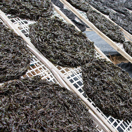 【海中“黑燕窝”】头水紫菜 商品图2