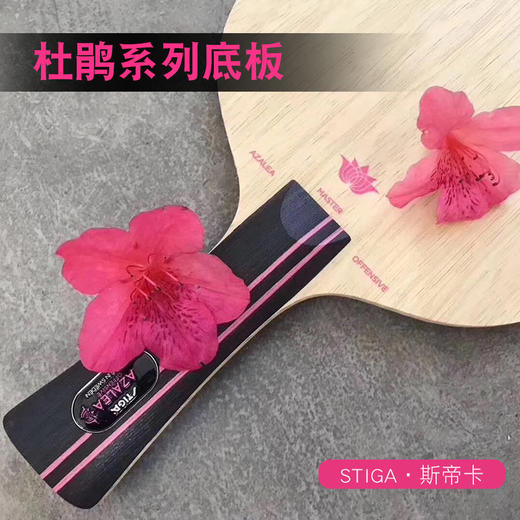 STIGA斯帝卡 杜鹃AC/OC 乒乓球板 国球汇 商品图0