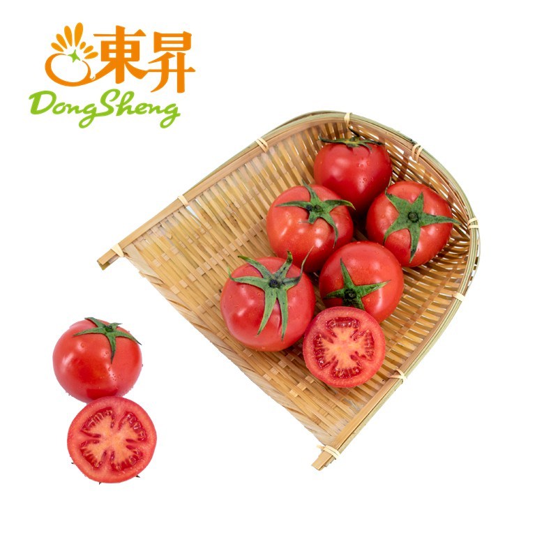 东升农场 大番茄 西红柿  500g