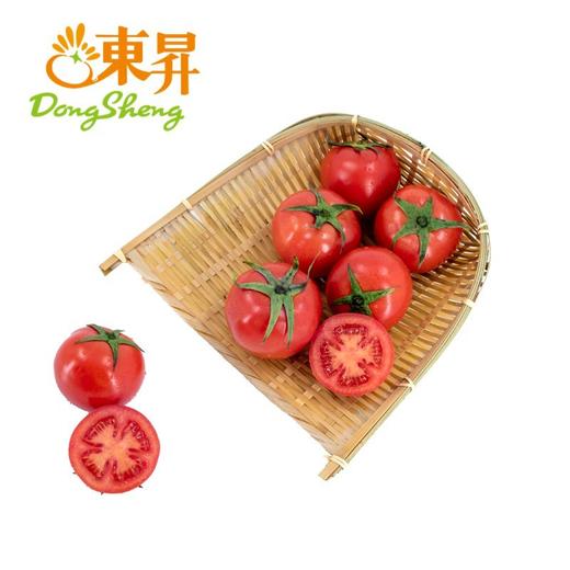 东升农场 大番茄 西红柿  500g 商品图0