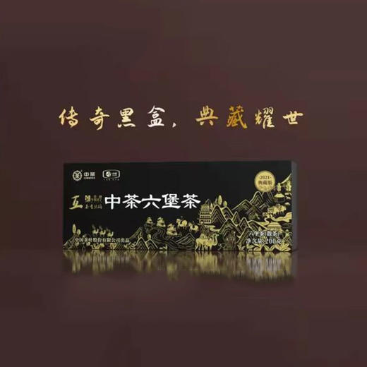 2021中茶茶香丝路黑盒六堡茶200g盒装 商品图1