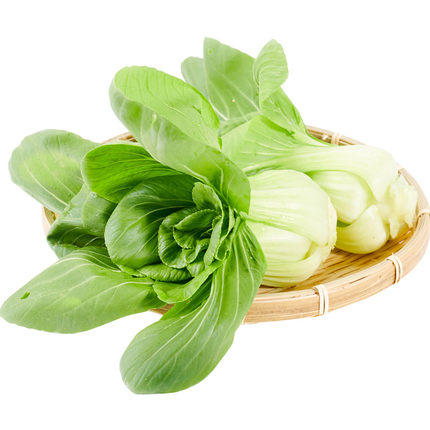 绿源禾心有机油菜 商品图0