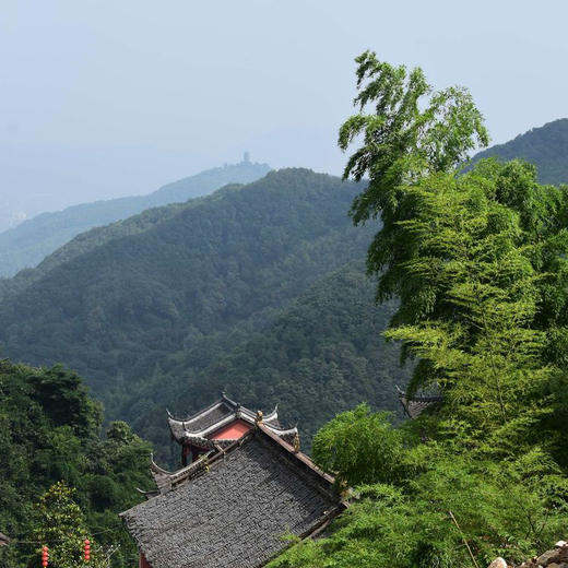 周日1.19徒步道教第九洞天凤鸣古道，探寻浙东第一古镇（上海周边1日线） 商品图2