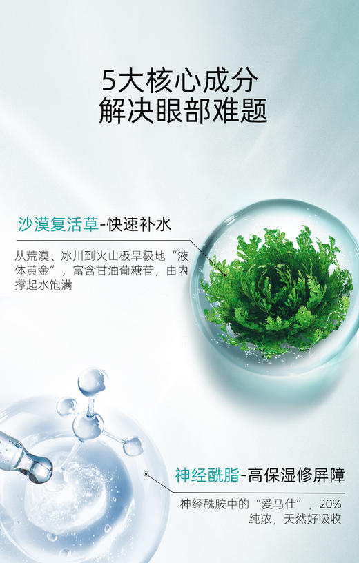婷美眼霜复活草补水保湿淡化黑眼圈眼袋提拉紧致细纹眼部精华   20g 买一送一 送同款 商品图3