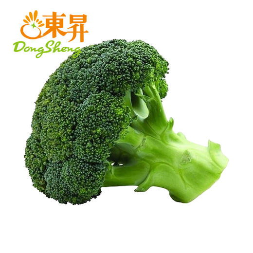 东升农场 西兰花 绿花椰菜 花菜 广州蔬菜新鲜配送 300g 商品图0