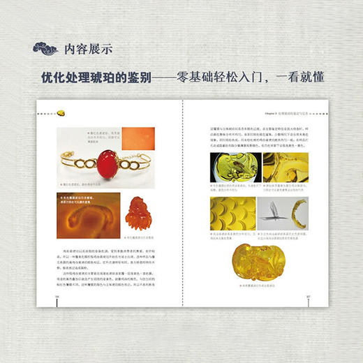 《琥珀辨假》 商品图4