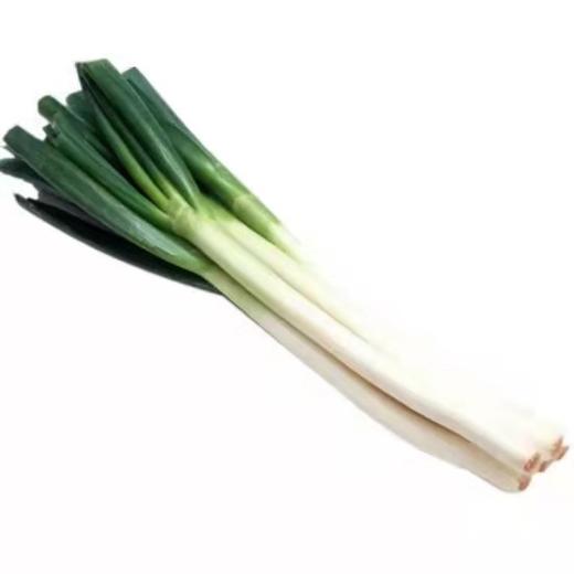 绿源禾心有机大葱 商品图0