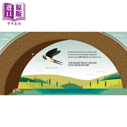 【中商原版】Montessori 蒙台梭利 一只燕子的诞生 Birth of a Swallow 英文原版进口 儿童绘本图画书 幼教启蒙纸板书 3岁以上 商品图4