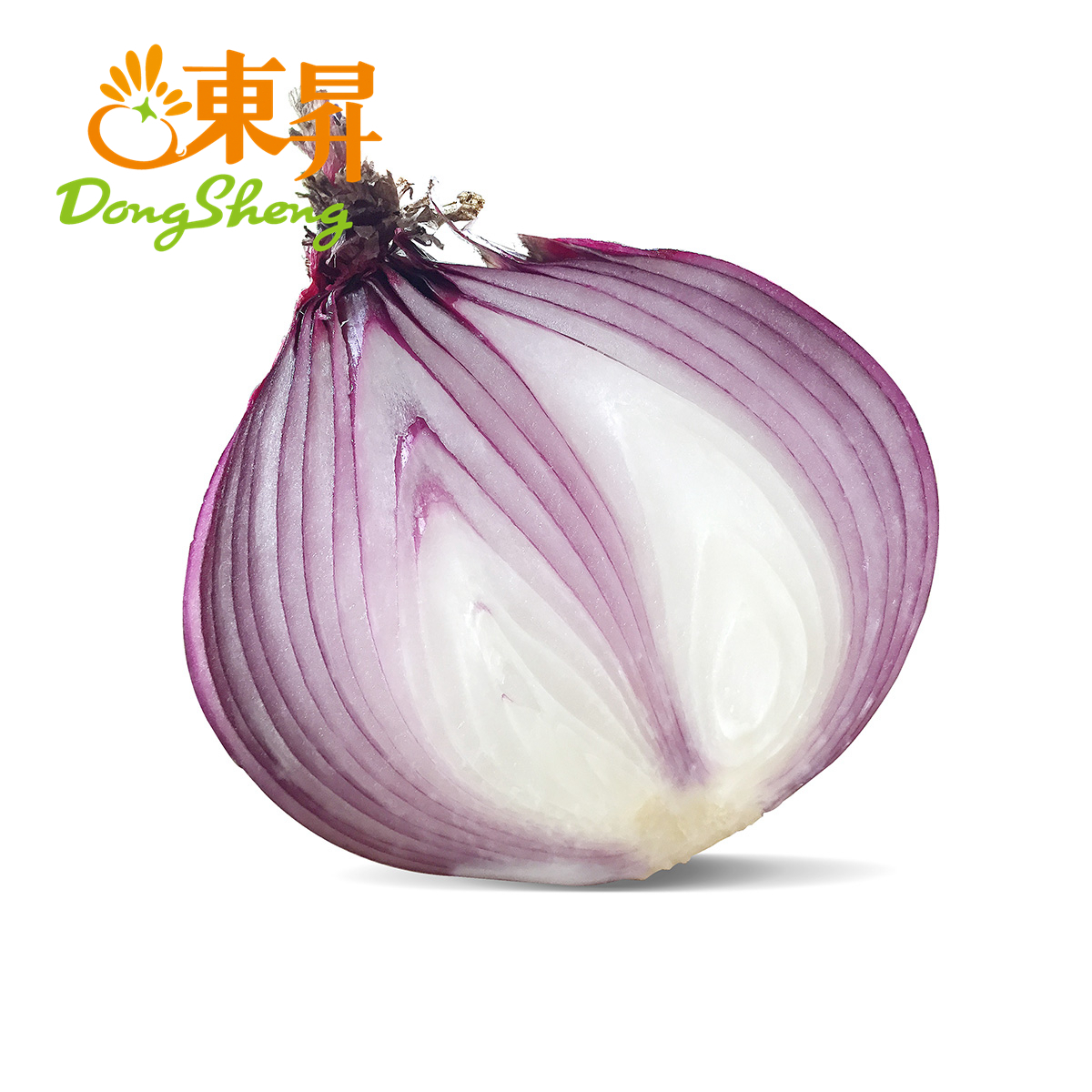 东升农场 红洋葱 紫洋葱洋葱头圆葱 广州蔬菜新鲜配送 500g
