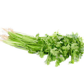 绿源禾心有机香菜
