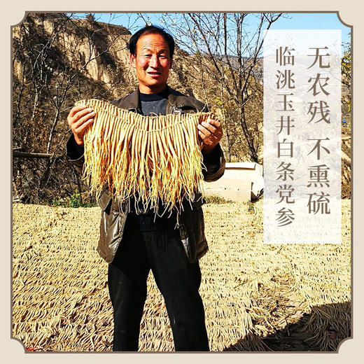 【新货】不熏硫 气血双补不上火 药食同源 党参 商品图3