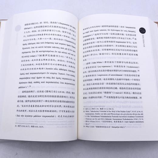 保罗与保罗书信（精装）施文华著 商品图1