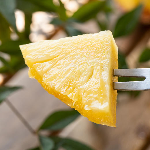 海南金钻凤梨|削皮即食，蜜甜多汁不涩口，连果芯都甜 商品图3