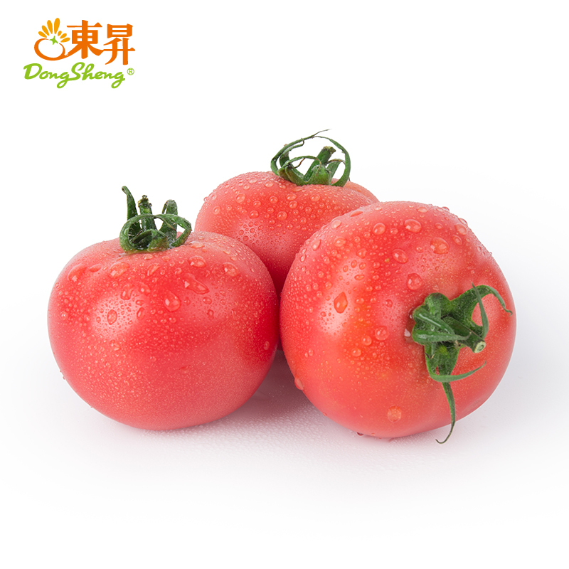 东升农场 粉番茄  粉西红柿 广州蔬菜新鲜配送 500g
