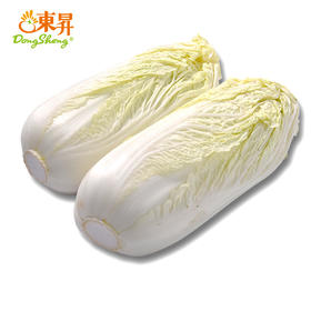 东升农场  娃娃菜 微型大白菜 广州蔬菜新鲜配送 400g