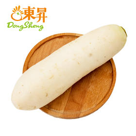 东升农场   白萝卜 青菜大萝卜 广州蔬菜新鲜配送 750g