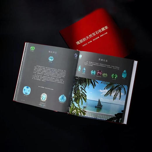 《瑰丽的天然宝石收藏家》 商品图3