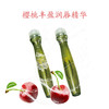 【格林缇】樱桃丰盈润唇精华（唇油）15ml 商品缩略图7