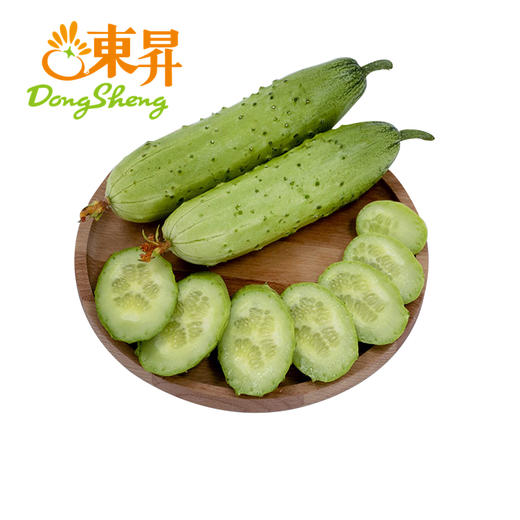 东升农场 旱黄瓜 秋黄瓜 青菜胡瓜 广州蔬菜新鲜配送 400g 商品图0