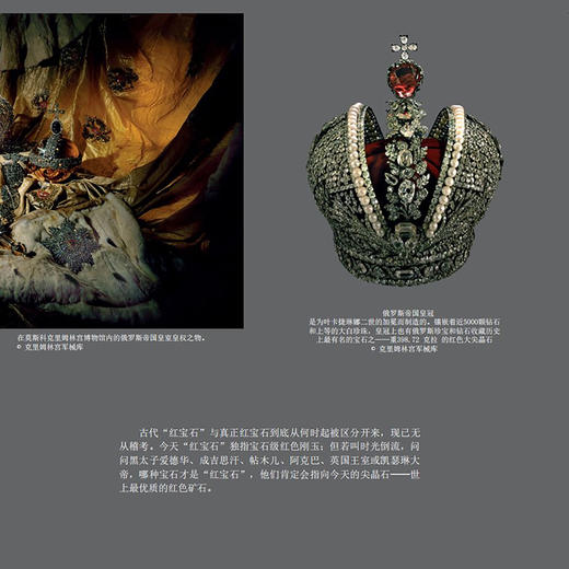 《瑰丽的天然宝石收藏家》 商品图9