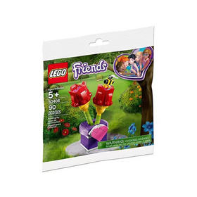 乐高LEGO 2019年新年郁金香（拼砌包） LEGPOP30408