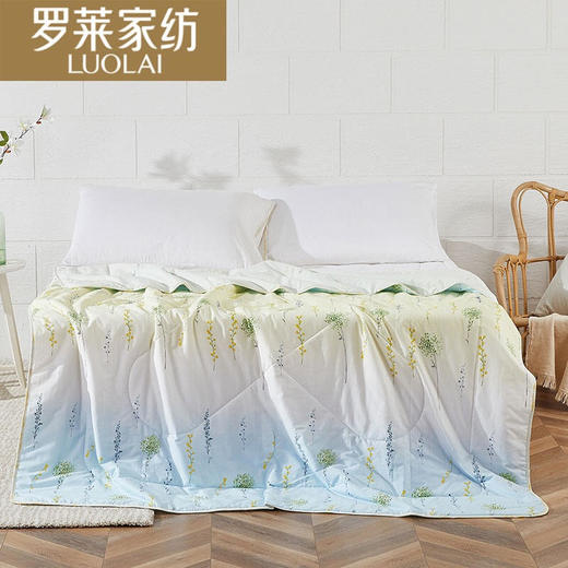 罗莱家纺全棉水洗蚕丝空调被180*200cm【XPQ】 商品图0