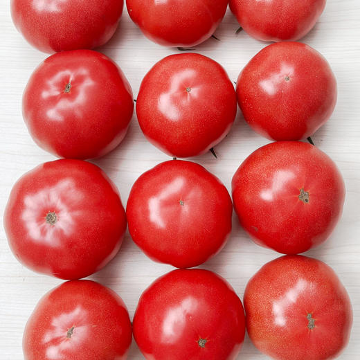 【亦果亦蔬】【第八季陕西普罗旺斯水果西红柿】西红柿番茄洋柿子 商品图8