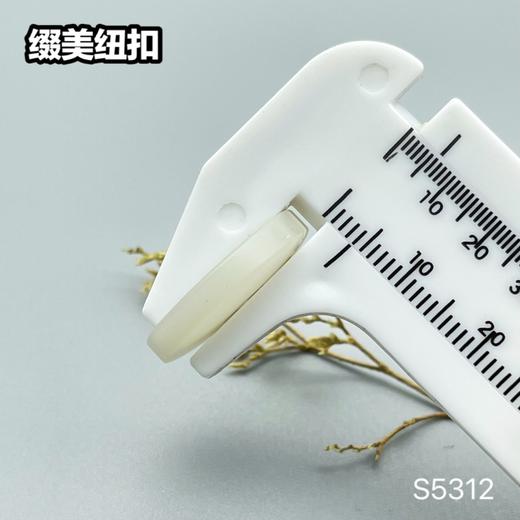 S5312(整包购买) 商品图6