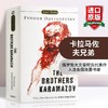 正版 卡拉马佐夫兄弟 英文原版 The Brothers Karamazov 陀思妥耶夫斯基 俄罗斯文学小说 英文版进口书 英语书籍 商品缩略图0