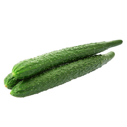 绿源禾心有机刺黄瓜 商品图0