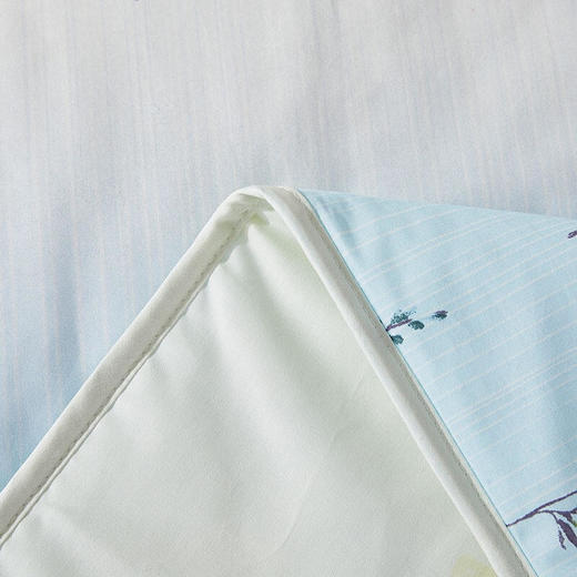 罗莱家纺全棉水洗蚕丝空调被180*200cm【XPQ】 商品图3