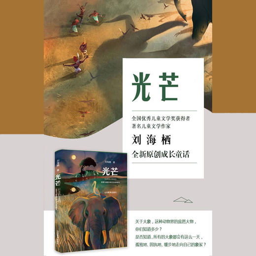 光芒（刘海栖 著） 商品图3