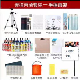 中盛画材 丙烯颜料袋装120ml 绘画套装