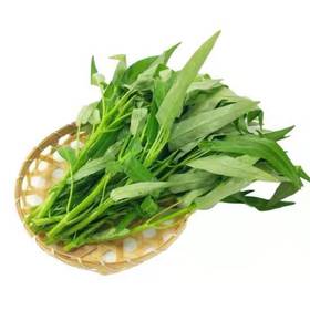 谷宝生态空心菜300g
