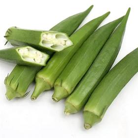谷宝生态秋葵