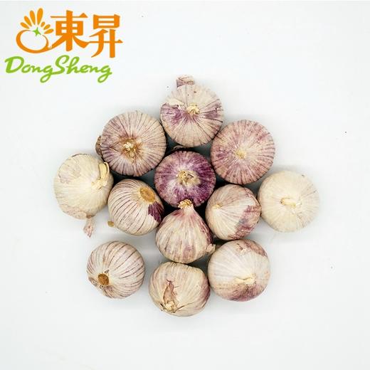 东升农场  独蒜 独子蒜  300G  广州蔬菜新鲜配送 商品图0