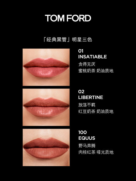 【中欧班列精选】TF口红经典黑管奶油哑光质地15#16#/80#/ 100#/ 08#HJ 商品图3