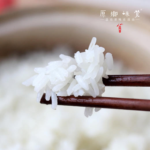 五常有机大米|（基地直发-圆通包邮） | 5斤/袋，来自黑龙江五常，生产者：赵军【合作生产，公平贸易】 商品图1