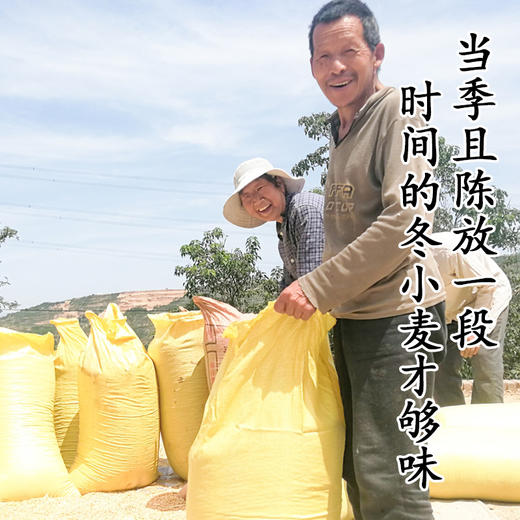 VIP私人定制服务【全麦面粉5斤装】 商品图3