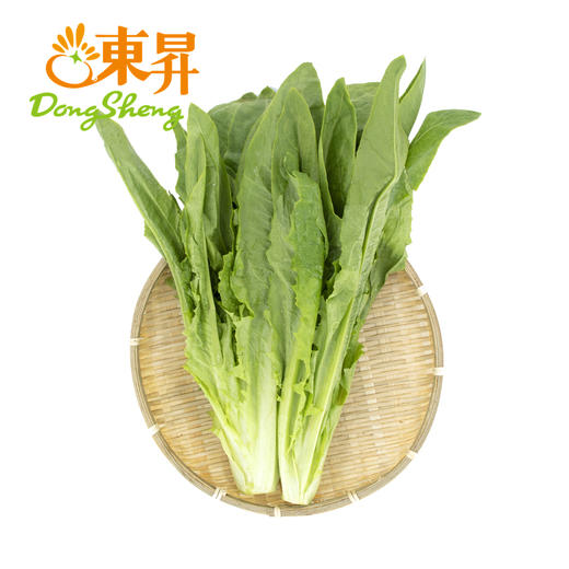 东升农场 油麦菜 莜麦菜 苦菜 牛俐生菜 广州蔬菜配送 300g 商品图0